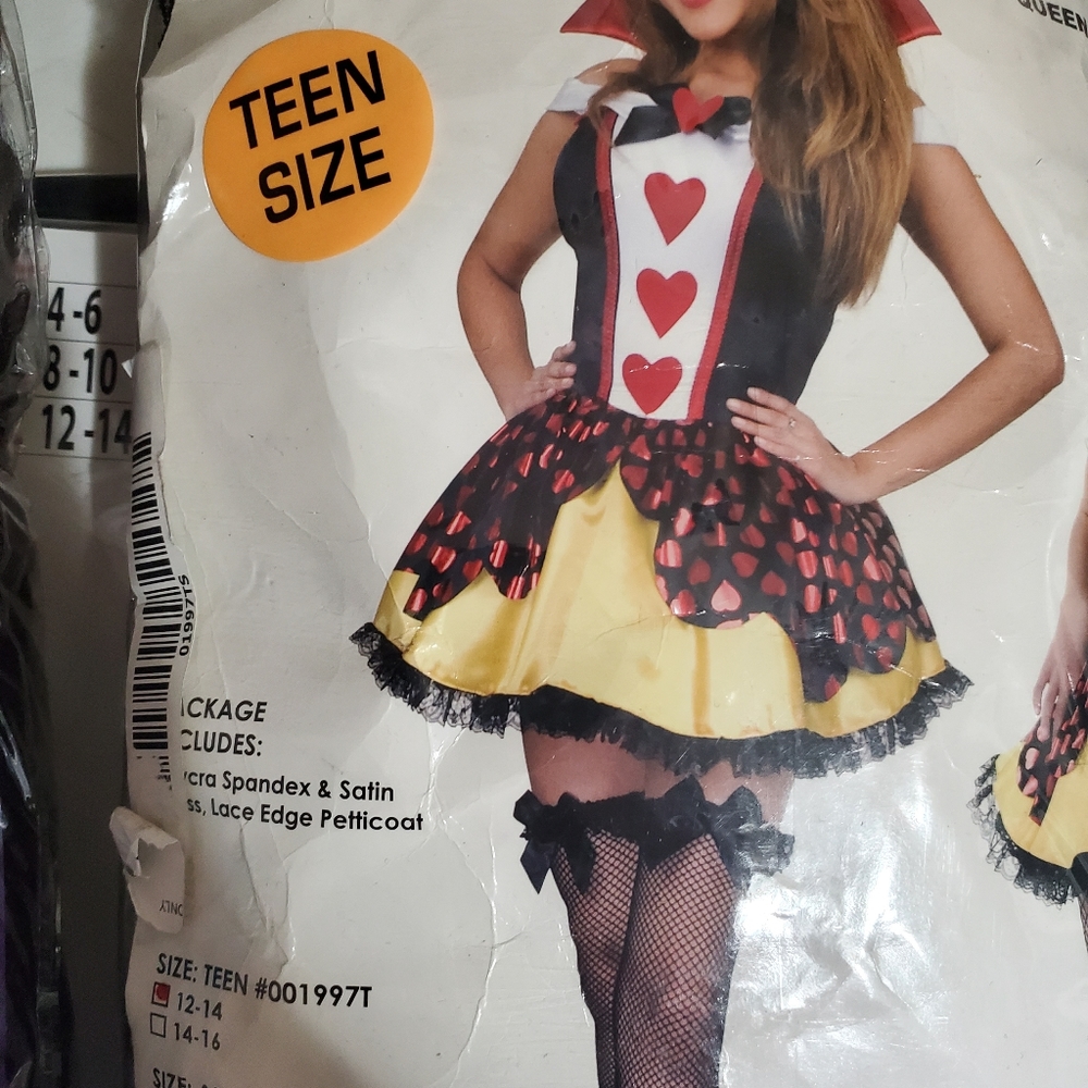 Costumes - Picture 12 of 12